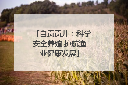 自贡贡井：科学安全养殖 护航渔业健康发展