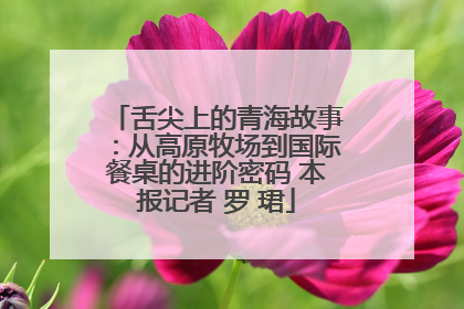 舌尖上的青海故事：从高原牧场到国际餐桌的进阶密码 本报记者 罗 珺