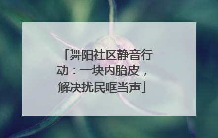 舞阳社区静音行动：一块内胎皮，解决扰民哐当声