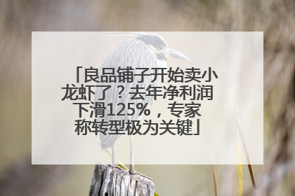 良品铺子开始卖小龙虾了？去年净利润下滑125%，专家称转型极为关键