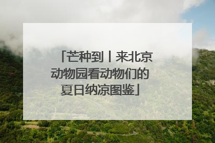 芒种到丨来北京动物园看动物们的夏日纳凉图鉴