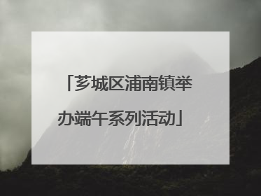 芗城区浦南镇举办端午系列活动