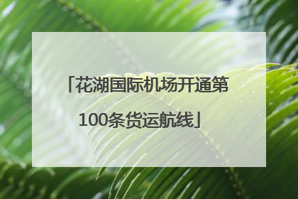 花湖国际机场开通第100条货运航线