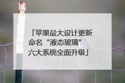 苹果最大设计更新命名“液态玻璃” 六大系统全面升级