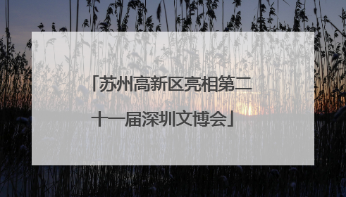 苏州高新区亮相第二十一届深圳文博会