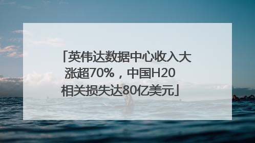 英伟达数据中心收入大涨超70%，中国H20相关损失达80亿美元