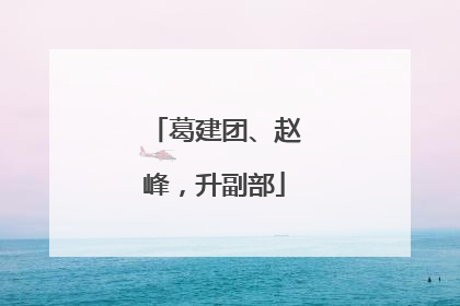 葛建团、赵峰，升副部