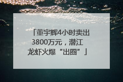 董宇辉4小时卖出3800万元，潜江龙虾火爆“出圈”