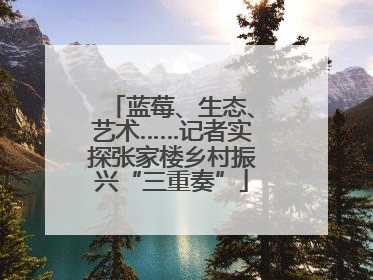 蓝莓、生态、艺术……记者实探张家楼乡村振兴“三重奏”