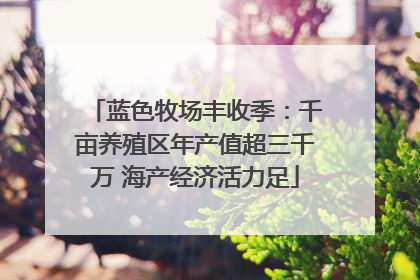 蓝色牧场丰收季：千亩养殖区年产值超三千万 海产经济活力足