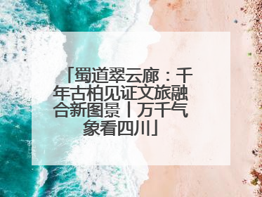 蜀道翠云廊：千年古柏见证文旅融合新图景丨万千气象看四川