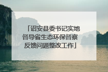 诏安县委书记实地督导省生态环保督察反馈问题整改工作