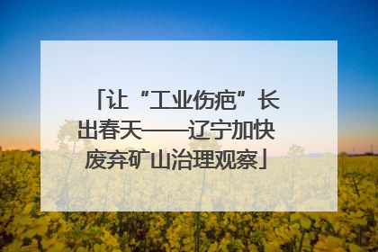 让“工业伤疤”长出春天——辽宁加快废弃矿山治理观察