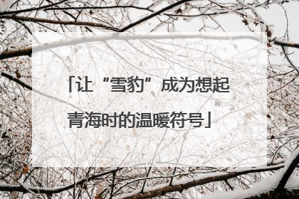 让“雪豹”成为想起青海时的温暖符号