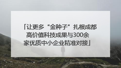 让更多“金种子”扎根成都 高价值科技成果与300余家优质中小企业精准对接