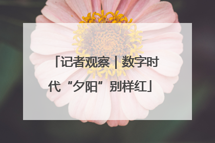 记者观察｜数字时代“夕阳”别样红