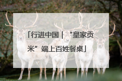 行进中国｜“皇家贡米”端上百姓餐桌