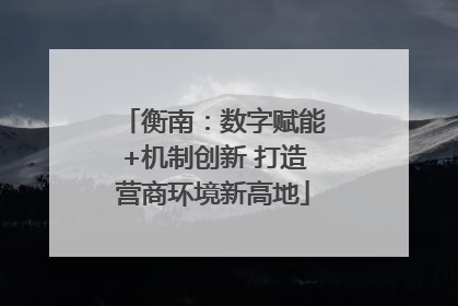 衡南：数字赋能+机制创新 打造营商环境新高地