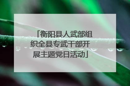 衡阳县人武部组织全县专武干部开展主题党日活动