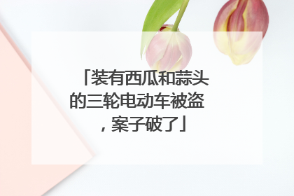 装有西瓜和蒜头的三轮电动车被盗，案子破了