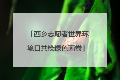 西乡志愿者世界环境日共绘绿色画卷