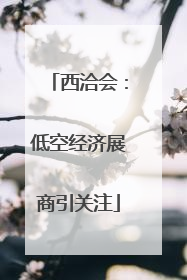 西洽会：低空经济展商引关注