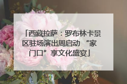 西藏拉萨：罗布林卡景区驻场演出周启动 “家门口”享文化盛宴