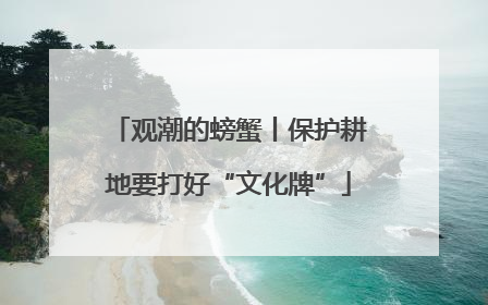 观潮的螃蟹丨保护耕地要打好“文化牌”
