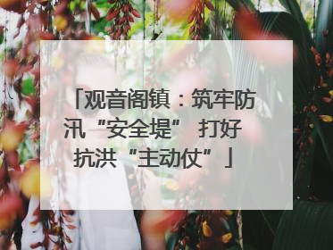 观音阁镇：筑牢防汛“安全堤” 打好抗洪“主动仗”