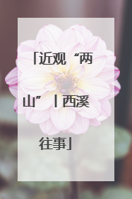 近观“两山”丨西溪往事