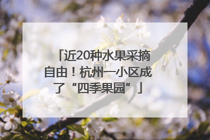 近20种水果采摘自由！杭州一小区成了“四季果园”