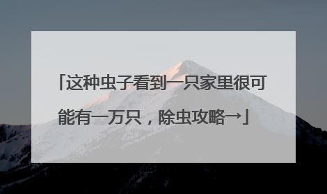 这种虫子看到一只家里很可能有一万只，除虫攻略→