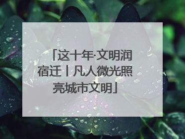 这十年·文明润宿迁丨凡人微光照亮城市文明