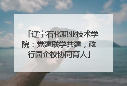 辽宁石化职业技术学院：党建联学共建，政行园企校协同育人