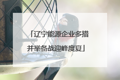 辽宁能源企业多措并举备战迎峰度夏