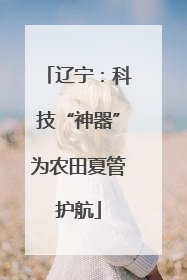 辽宁：科技“神器”为农田夏管护航