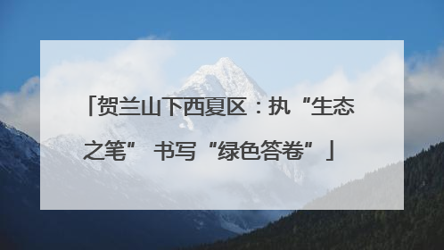 贺兰山下西夏区：执“生态之笔” 书写“绿色答卷”