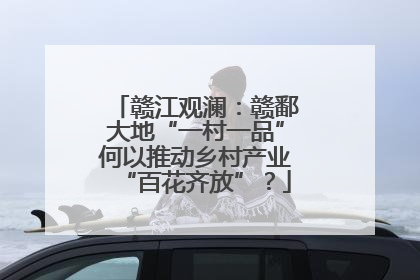 赣江观澜：赣鄱大地“一村一品”何以推动乡村产业“百花齐放”？