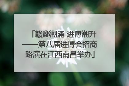 赣鄱潮涌 进博潮升——第八届进博会招商路演在江西南昌举办