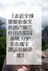 走近全球重要农业文化遗产皋兰什川古梨园系统 守护生态瑰宝 激活发展动能