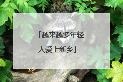 越来越多年轻人爱上新乡