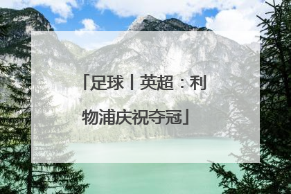 足球丨英超：利物浦庆祝夺冠