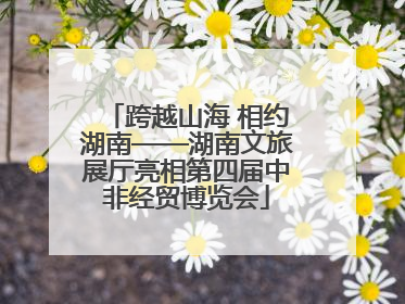 跨越山海 相约湖南——湖南文旅展厅亮相第四届中非经贸博览会