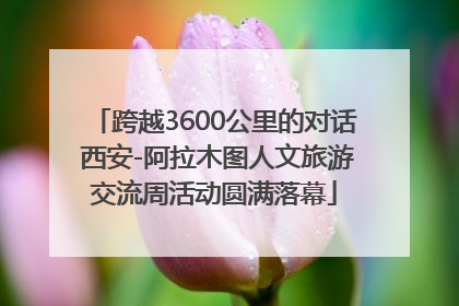 跨越3600公里的对话 西安-阿拉木图人文旅游交流周活动圆满落幕