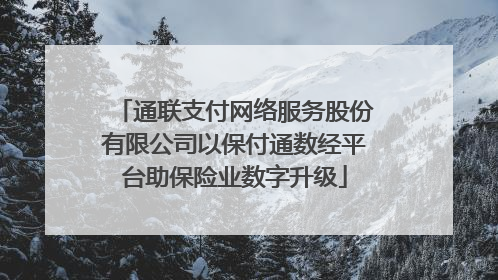 通联支付网络服务股份有限公司以保付通数经平台助保险业数字升级