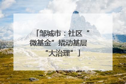 邹城市：社区“微基金”撬动基层“大治理”