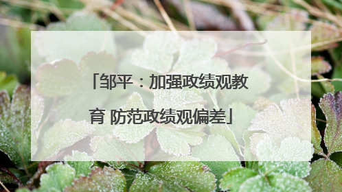 邹平：加强政绩观教育 防范政绩观偏差