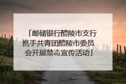 邮储银行醴陵市支行携手共青团醴陵市委员会开展禁毒宣传活动