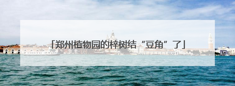 郑州植物园的梓树结“豆角”了