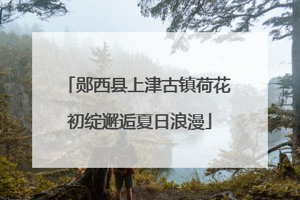 郧西县上津古镇荷花初绽邂逅夏日浪漫